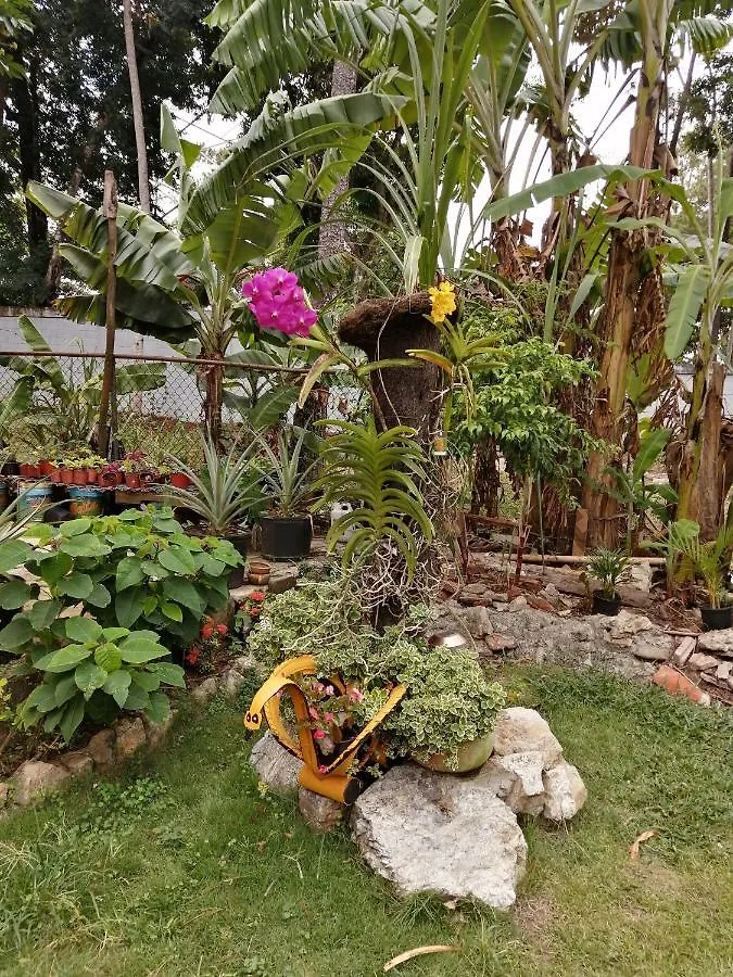 La Famosa Costillas A La Lena Jarabacoa Bed & Breakfast